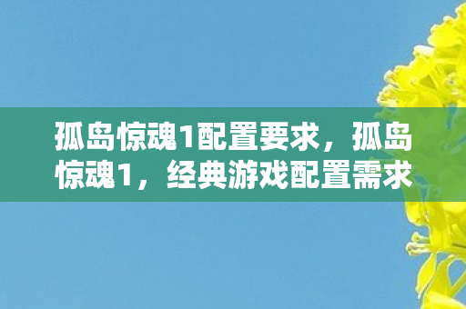 孤岛惊魂1配置要求，孤岛惊魂1，经典游戏配置需求解析