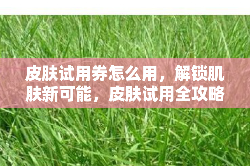 皮肤试用券怎么用图片