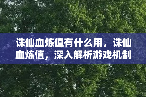 诛仙血炼值有什么用，诛仙血炼值，深入解析游戏机制与提升策略
