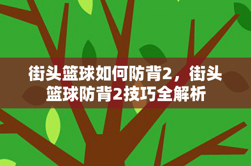 街头篮球如何防背2，街头篮球防背2技巧全解析