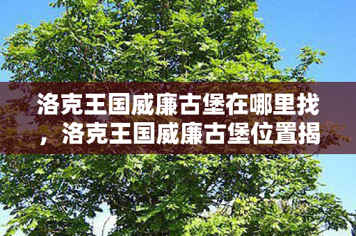 洛克王国威廉古堡在哪里找，洛克王国威廉古堡位置揭秘