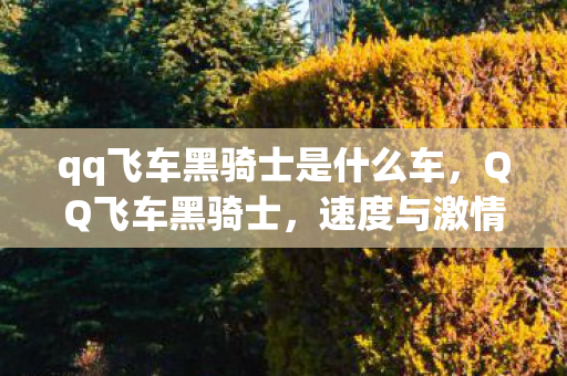 qq飞车黑骑士是什么车,QQ飞车黑骑士,速度与激情的终极挑战 qq飞车黑骑士是什么车,QQ飞车黑骑士,速度与激情的终极挑战