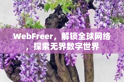 WebFreer,解锁全球网络,探索无界数字世界 WebFreer,解锁全球网络,探索无界数字世界