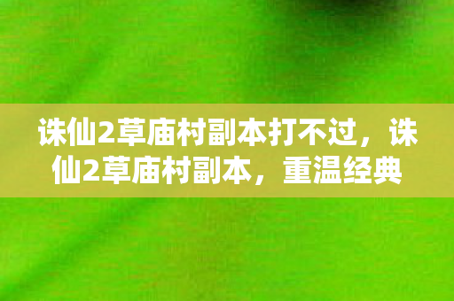 诛仙2草庙村副本打不过，诛仙2草庙村副本，重温经典，探寻未知之谜