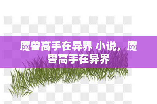 魔兽高手在异界 小说，魔兽高手在异界