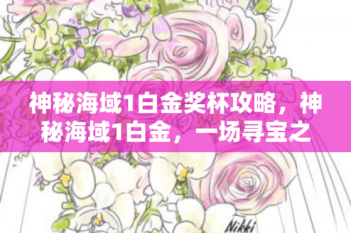 神秘海域1白金奖杯攻略,神秘海域1白金,一场寻宝之旅的传奇 神秘海域1白金奖杯攻略,神秘海域1白金,一场寻宝之旅的传奇