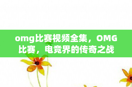 omg比赛视频全集，OMG比赛，电竞界的传奇之战