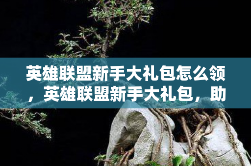 英雄联盟新手大礼包怎么领，英雄联盟新手大礼包，助你快速上手的全面指南