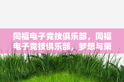 同福电子竞技俱乐部,同福电子竞技俱乐部,梦想与荣耀的征途 同福电子竞技俱乐部,同福电子竞技俱乐部,梦想与荣耀的征途