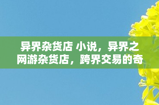 异界杂货店 小说，异界之网游杂货店，跨界交易的奇幻之旅
