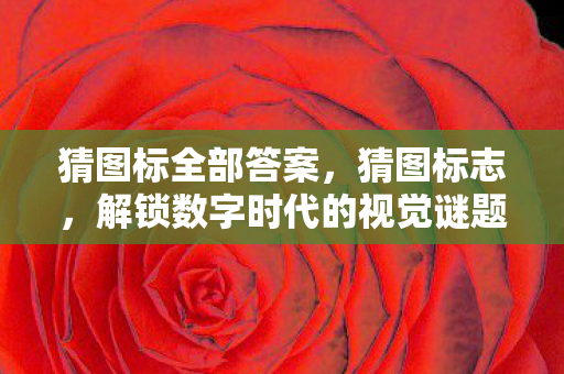 猜图标全部答案，猜图标志，解锁数字时代的视觉谜题