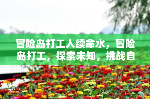 冒险岛打工人续命水，冒险岛打工，探索未知，挑战自我