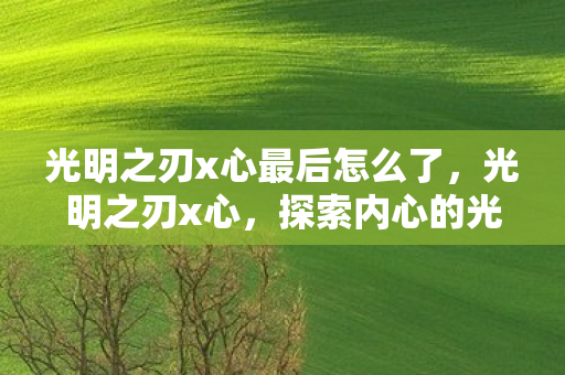 光明之刃x心最后怎么了，光明之刃x心，探索内心的光明与力量
