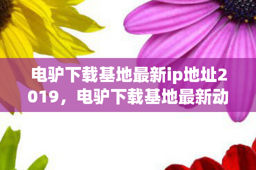 电驴下载基地最新ip地址2019，电驴下载基地最新动态，探索数字时代的文化共享与版权保护