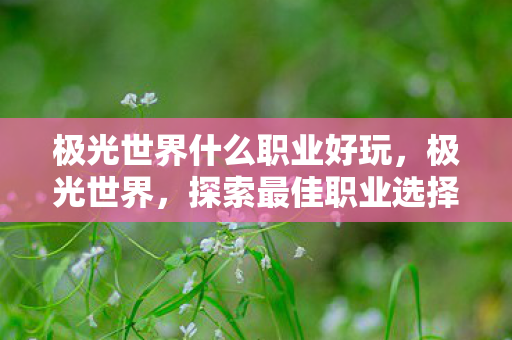 极光世界什么职业好玩，极光世界，探索最佳职业选择