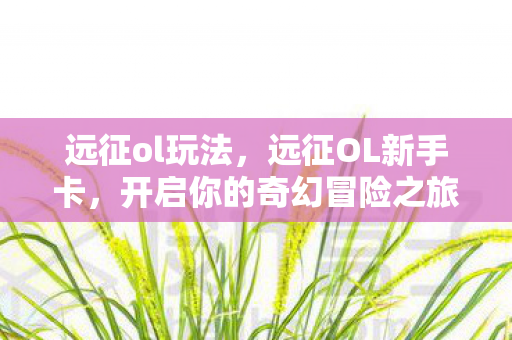 远征ol玩法，远征OL新手卡，开启你的奇幻冒险之旅