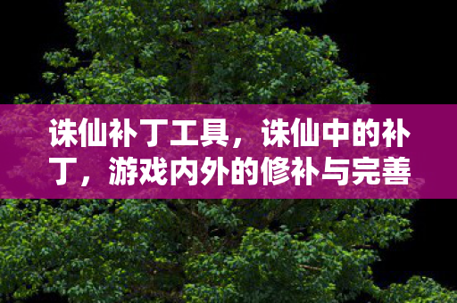 诛仙补丁工具，诛仙中的补丁，游戏内外的修补与完善