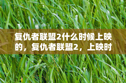 复仇者联盟2什么时候上映的，复仇者联盟2，上映时间揭秘