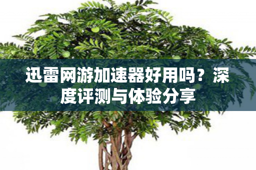 迅雷网游加速器好用吗？深度评测与体验分享