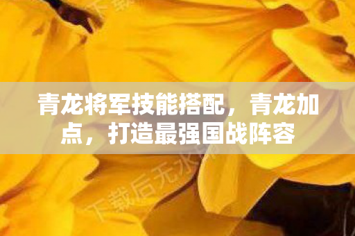 青龙将军技能搭配，青龙加点，打造最强国战阵容