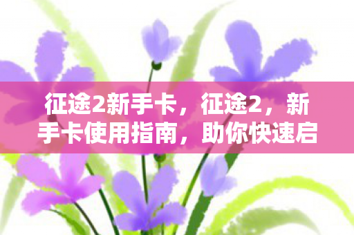 征途2新手卡，征途2，新手卡使用指南，助你快速启程！