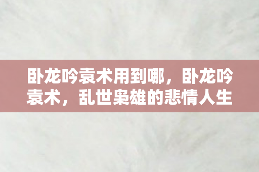 卧龙吟袁术用到哪，卧龙吟袁术，乱世枭雄的悲情人生