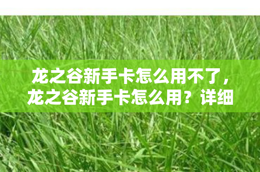 龙之谷新手卡怎么用不了，龙之谷新手卡怎么用？详细指南助你快速上手