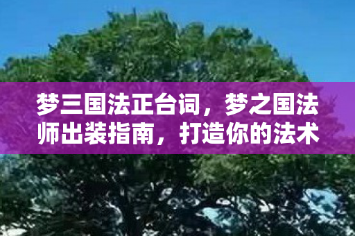 梦三国法正台词，梦之国法师出装指南，打造你的法术输出王者