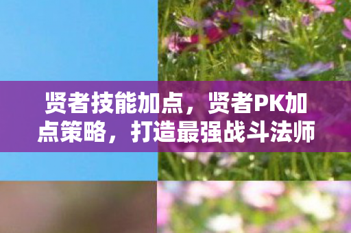 贤者技能加点，贤者PK加点策略，打造最强战斗法师