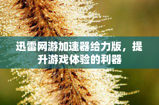 迅雷网游加速器给力版,提升游戏体验的利器 迅雷网游加速器给力版,提升游戏体验的利器
