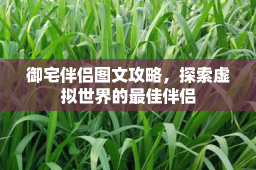 御宅伴侣图文攻略，探索虚拟世界的最佳伴侣