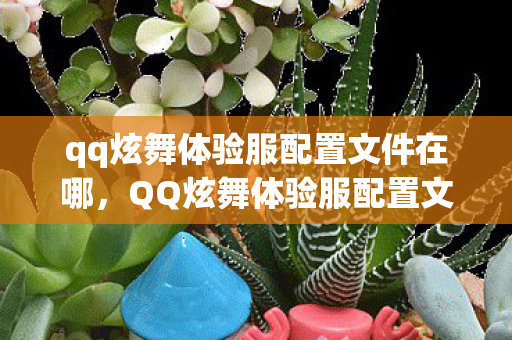 qq炫舞体验服配置文件在哪,QQ炫舞体验服配置文件详解 qq炫舞体验服配置文件在哪,QQ炫舞体验服配置文件详解