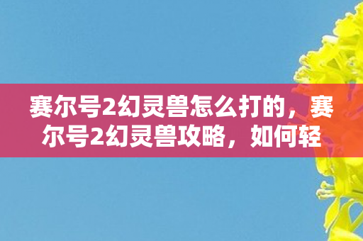 赛尔号2幻灵兽怎么打的，赛尔号2幻灵兽攻略，如何轻松击败幻灵兽