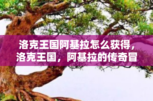 洛克王国阿基拉怎么获得，洛克王国，阿基拉的传奇冒险