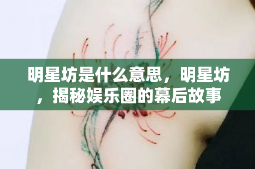 明星坊是什么意思，明星坊，揭秘娱乐圈的幕后故事