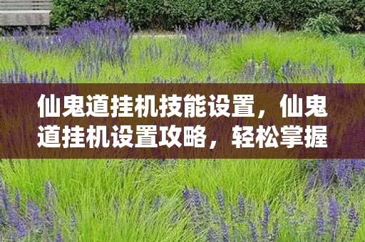 仙鬼道挂机技能设置，仙鬼道挂机设置攻略，轻松掌握游戏节奏，提升游戏体验