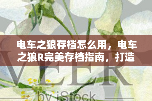 电车之狼存档怎么用,电车之狼R完美存档指南,打造你的梦幻之旅 电车之狼存档怎么用,电车之狼R完美存档指南,打造你的梦幻之旅