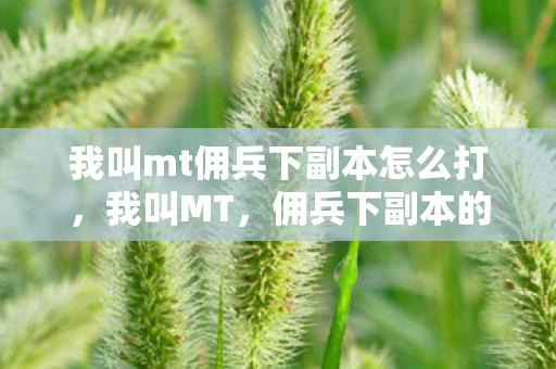 我叫mt佣兵下副本怎么打，我叫MT，佣兵下副本的冒险之旅