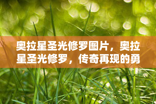 奥拉星圣光修罗图片,奥拉星圣光修罗,传奇再现的勇者之旅 奥拉星圣光修罗图片,奥拉星圣光修罗,传奇再现的勇者之旅