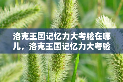 洛克王国记忆力大考验在哪儿，洛克王国记忆力大考验位置详解