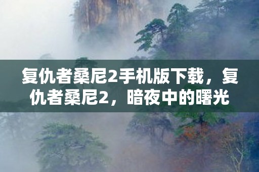 复仇者桑尼2手机版下载，复仇者桑尼2，暗夜中的曙光