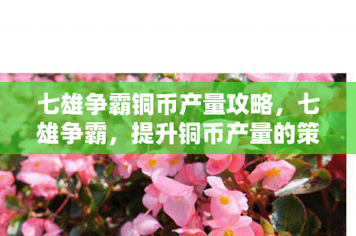 七雄争霸铜币产量攻略,七雄争霸,提升铜币产量的策略与技巧 七雄争霸铜币产量攻略,七雄争霸,提升铜币产量的策略与技巧