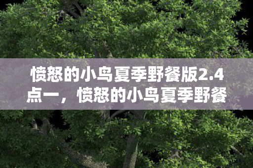 愤怒的小鸟夏季野餐版2.4点一，愤怒的小鸟夏季野餐版，一场清新夏日的欢乐冒险
