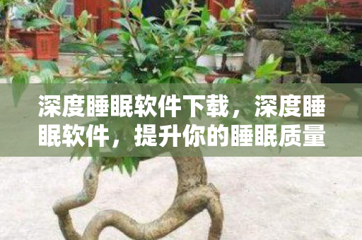 深度睡眠软件下载,深度睡眠软件,提升你的睡眠质量,唤醒活力满满的一天 深度睡眠软件下载,深度睡眠软件,提升你的睡眠质量,唤醒活力满满的一天