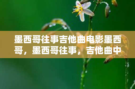 墨西哥往事吉他曲电影墨西哥,墨西哥往事,吉他曲中的浪漫与激情 墨西哥往事吉他曲电影墨西哥,墨西哥往事,吉他曲中的浪漫与激情