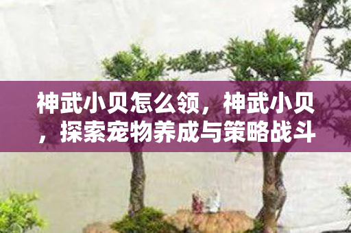 神武小贝怎么领,神武小贝,探索宠物养成与策略战斗的乐趣 神武小贝怎么领,神武小贝,探索宠物养成与策略战斗的乐趣