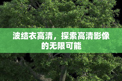 波结衣高清,探索高清影像的无限可能 波结衣高清,探索高清影像的无限可能