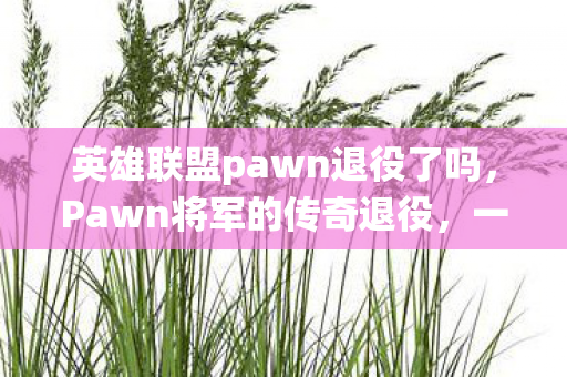 英雄联盟pawn退役了吗，Pawn将军的传奇退役，一段电竞传奇的落幕