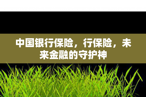 中国银行保险，行保险，未来金融的守护神