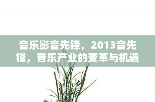 音乐影音先锋,2013音先锋,音乐产业的变革与机遇 音乐影音先锋,2013音先锋,音乐产业的变革与机遇
